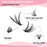 Lash Extension Kit